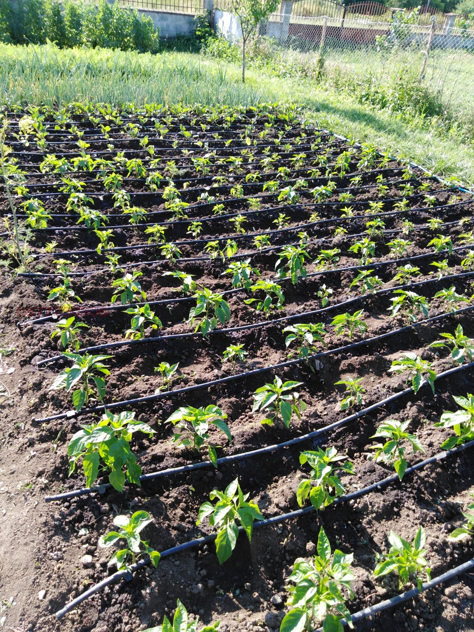 ������� ���������� ���� | Imot.bg � ����������� 1