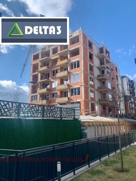 ����� ������� 2-�����,���� �����, �������� ������