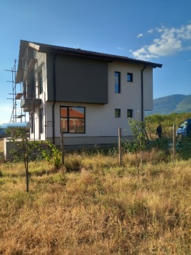 Hus Brestnik, region Plovdiv 1