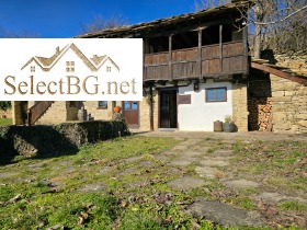 ����� ������� ����,�. ���������, ������ �������