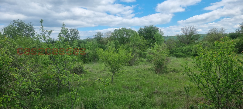 Продава КЪЩА, с. Венелин, област Варна, снимка 10 - Къщи - 52788745