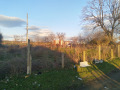 Продава ПАРЦЕЛ, с. Трояново, област Бургас, снимка 6