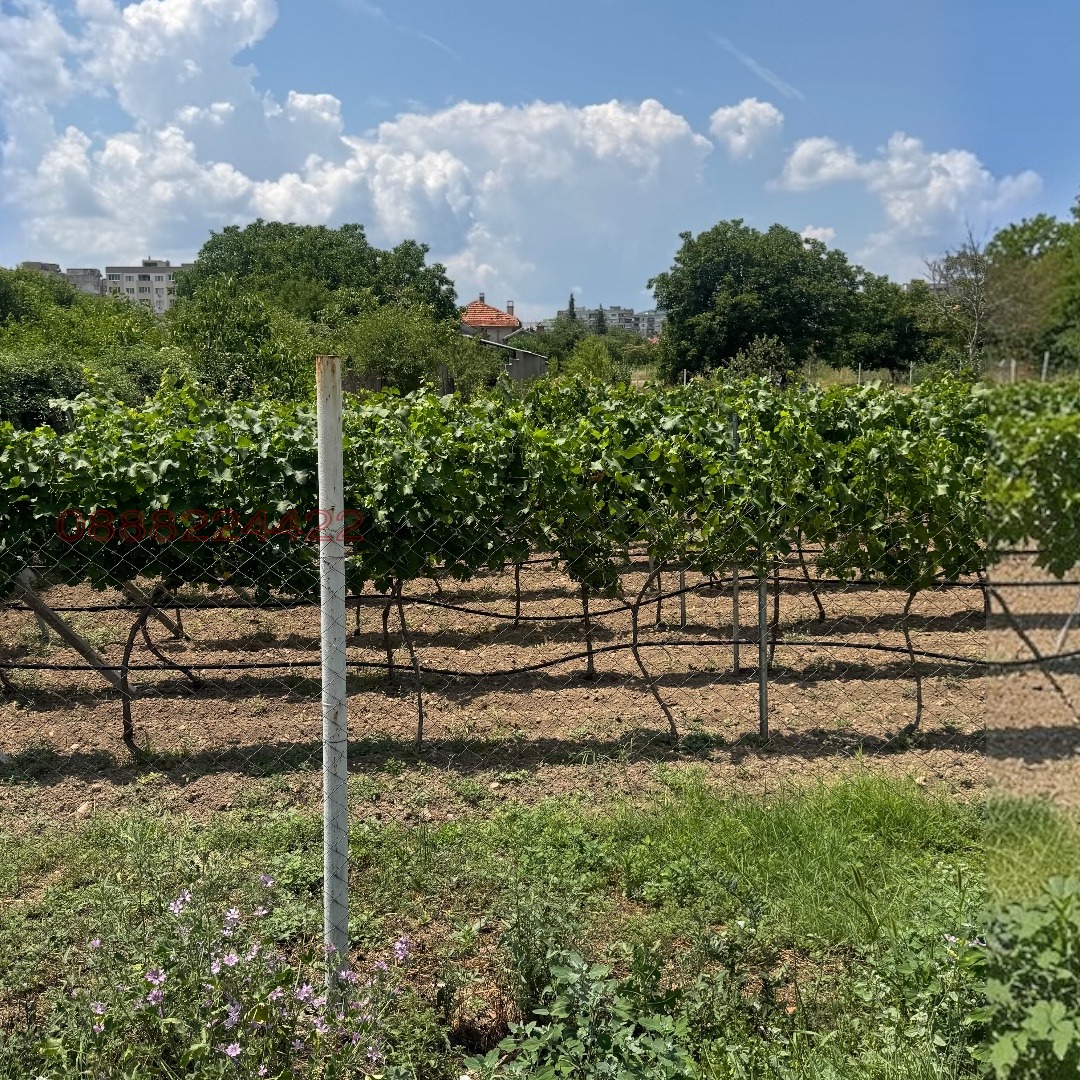 ������� ������ | Imot.bg � ����������� 2