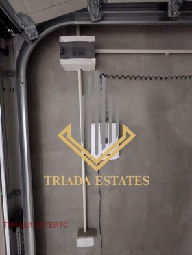 ����� ������� �����,���� ������, ����� ����������