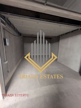 ����� ������� �����,���� ������, ����� ����������