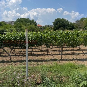 ������� ������ | Imot.bg � ����� ������ 2