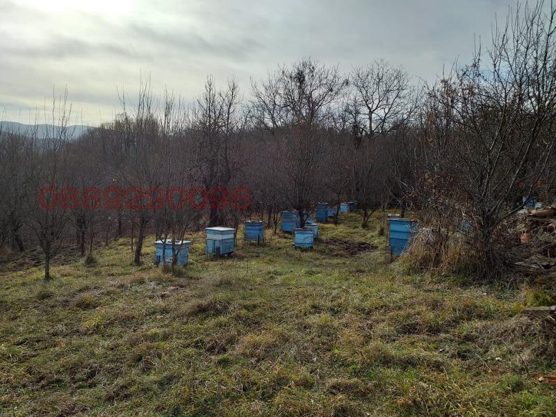 Продава КЪЩА, гр. Елена, област Велико Търново, снимка 11 - Къщи - 52780979