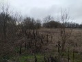 Продава КЪЩА, област Варна, с. Метличина • 36000 € • 62763097 — Holmes.bg