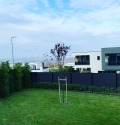 Продава  Къща област Пловдив , с. Марково , 340 кв.м | 91245432 - изображение [2]