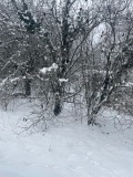 Продава ПАРЦЕЛ, област Перник, с. Касилаг • 50000 лв. • 56275984 — Holmes.bg