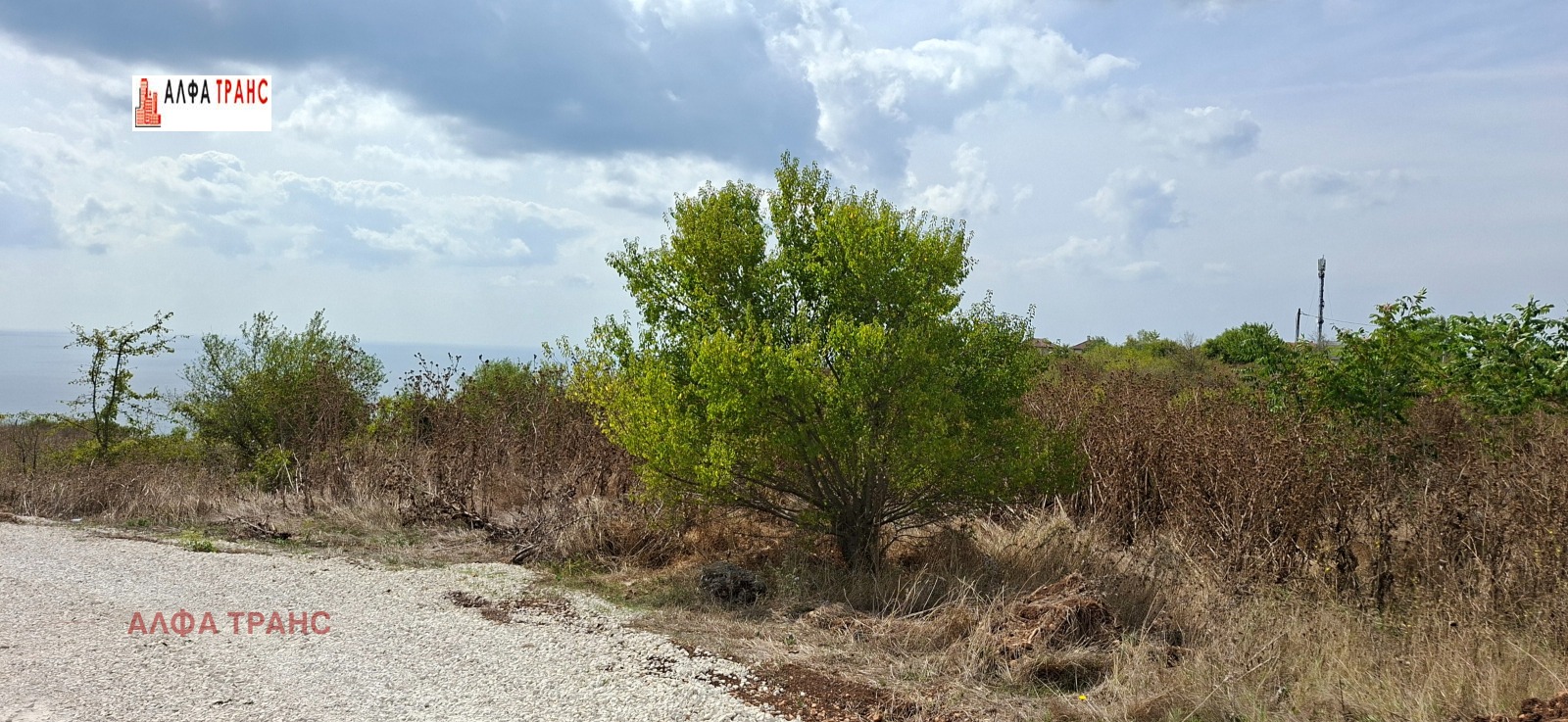 ������� ������ | Imot.bg � ����������� 5