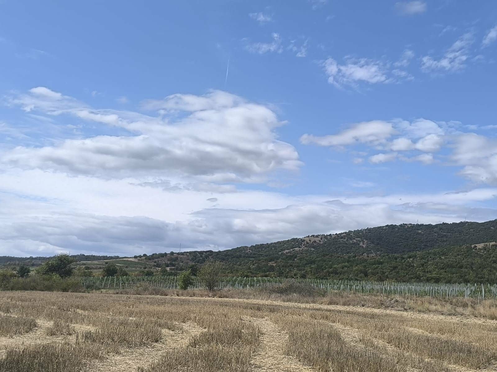 ������� ������ | Imot.bg � ����������� 10