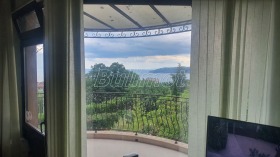 ����� ������� ����,���� �����, ����