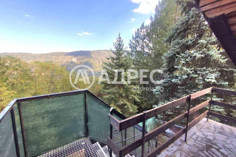 Продава КЪЩА, гр. София, с. Кокаляне, снимка 8 - Къщи - 52391079