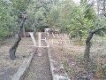 Продава ПАРЦЕЛ, град Варна, м-т Боровец - юг • 29900 € / 58479.32 лв. • 46589925 7