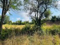 Продава ПАРЦЕЛ, област София, с. Крушовица • 60000 € • 70311402 — Holmes.bg