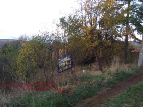 Handlung Gorna Dikanja, region Pernik 1