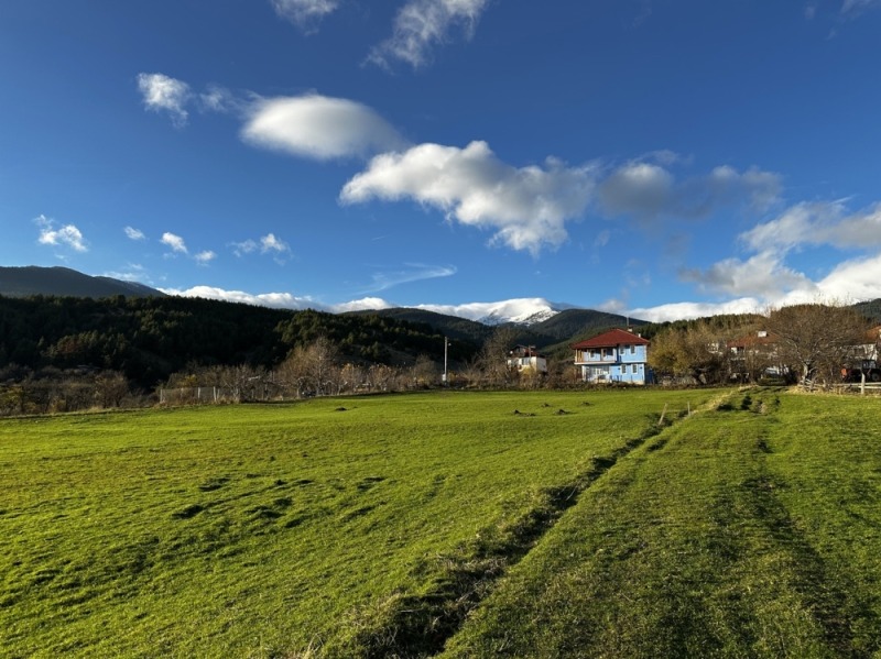 Продава ПАРЦЕЛ, с. Добърско, област Благоевград, снимка 10 - Парцели - 49445752