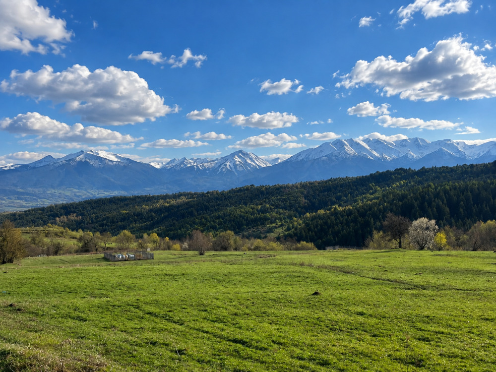 Продава ПАРЦЕЛ, с. Добърско, област Благоевград, снимка 14 - Парцели - 49445752