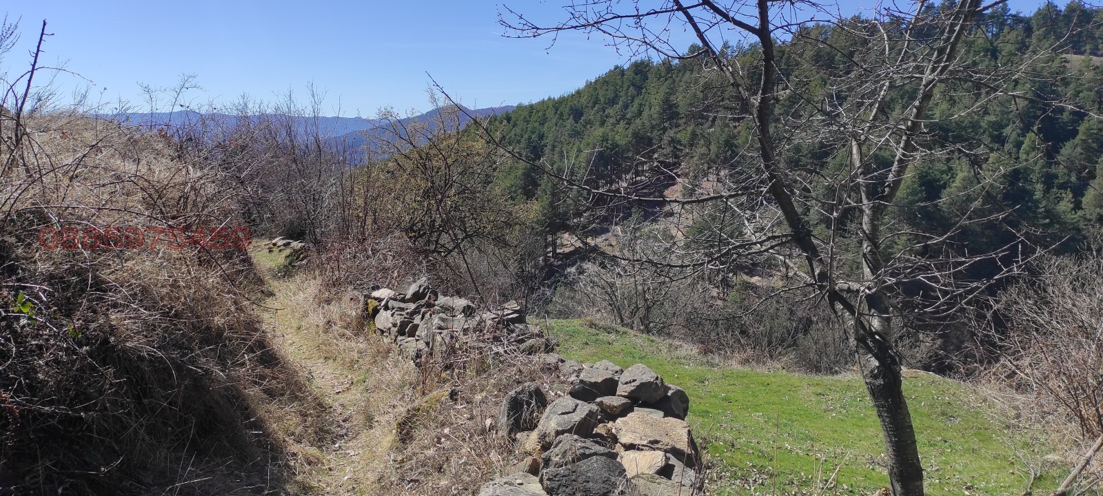 ������� ���� | Imot.bg � ����������� 8