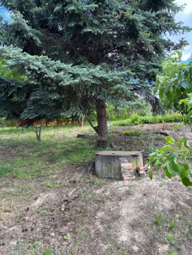 ������� ������ | Imot.bg � ����� ������ 10