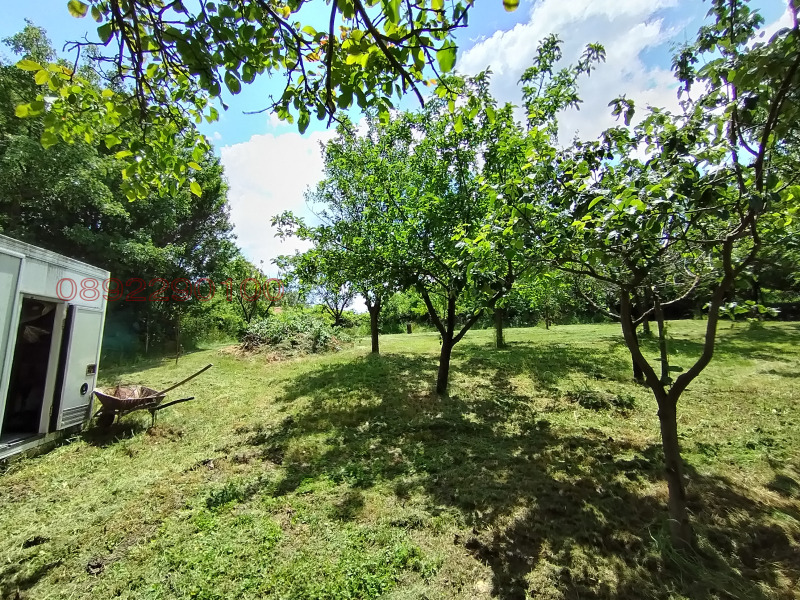 Продава ПАРЦЕЛ, с. Пороище, област Разград, снимка 6 - Парцели - 52783009