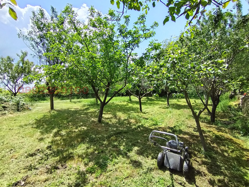 Продава ПАРЦЕЛ, с. Пороище, област Разград, снимка 3 - Парцели - 52783009