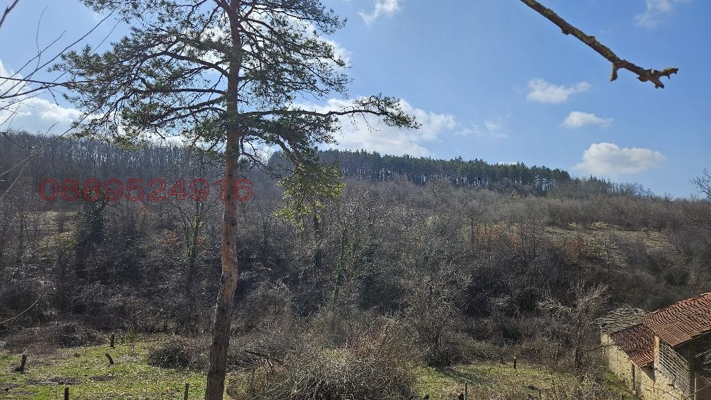 Продава КЪЩА, с. Младен, област Габрово, снимка 3 - Къщи - 53857583