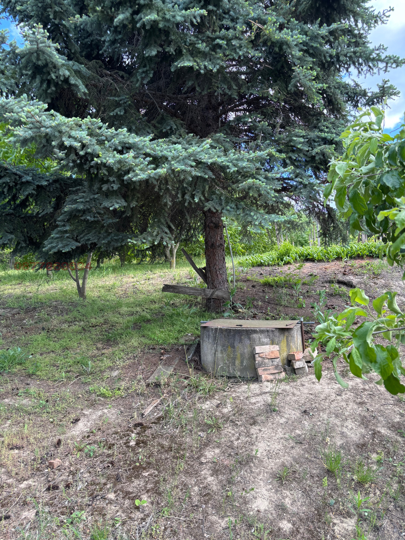 Продава ПАРЦЕЛ, гр. Лом, област Монтана, снимка 10 - Парцели - 54544731