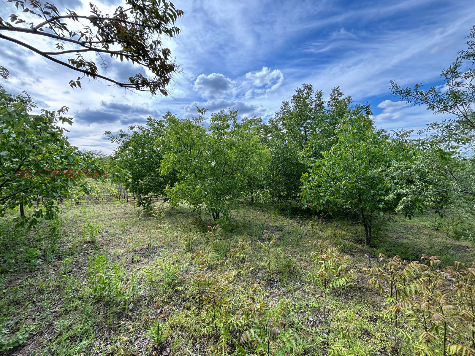 Продава ПАРЦЕЛ, гр. Лом, област Монтана, снимка 14 - Парцели - 54544731