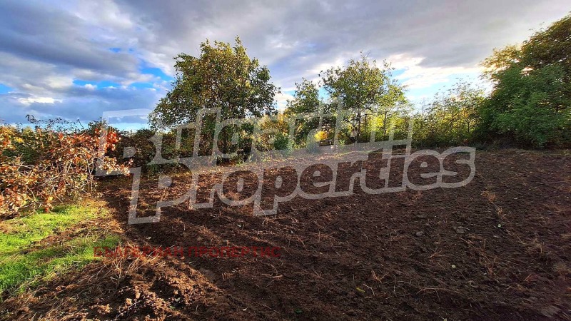 Продава КЪЩА, с. Церетелево, област Пловдив, снимка 15 - Къщи - 52223514