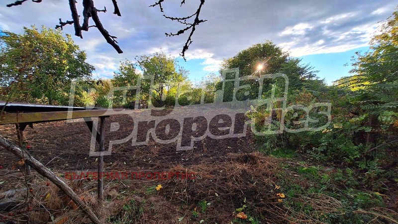 Продава КЪЩА, с. Церетелево, област Пловдив, снимка 16 - Къщи - 52223514