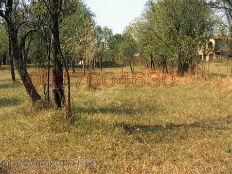 Продава ПАРЦЕЛ, с. Борима, област Ловеч, снимка 6 - Парцели - 52785809