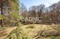 Продава КЪЩА, област Пловдив, с. Бойково • 86000 € • 28695455 — Holmes.bg