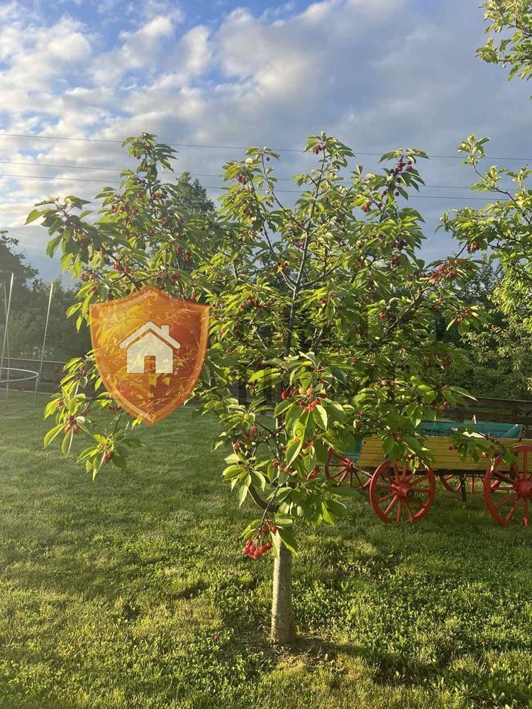 ������� ���� | Imot.bg � ����������� 7