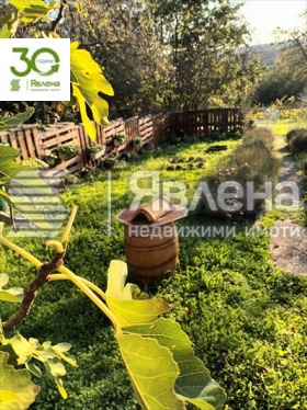 ������� ���� | Imot.bg � ����� ������ 11