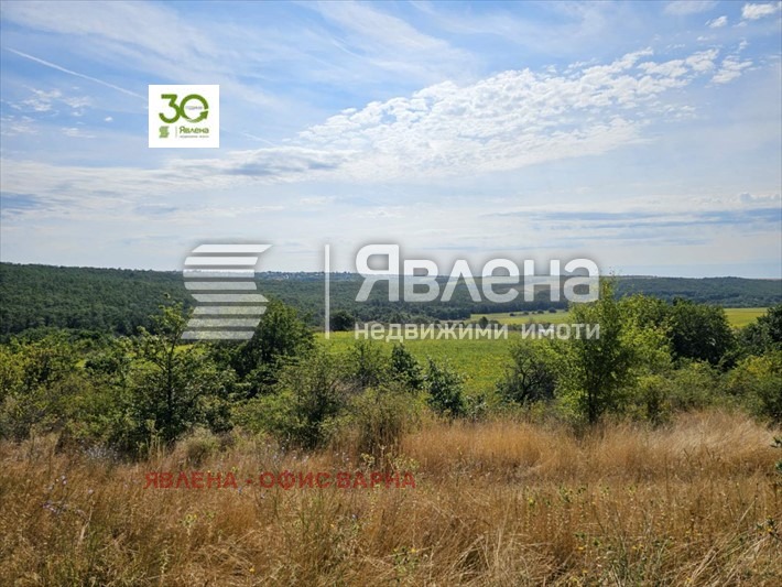 Продава ПАРЦЕЛ, с. Бенковски, област Варна, снимка 4 - Парцели - 53652348