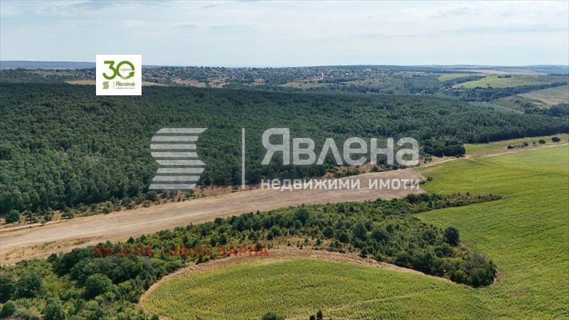 Продава ПАРЦЕЛ, с. Бенковски, област Варна, снимка 2 - Парцели - 53652348