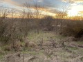Продава КЪЩА, област Добрич, с. Житен • 14000 лв. • 73636174 — Holmes.bg