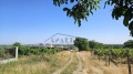 Продава ПАРЦЕЛ, област Пловдив, с. Белащица • 565257 € / 1105546.60 лв. • 53992053 3