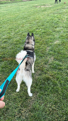 ������� ���������� ���� | Imot.bg � ����� ������ 2