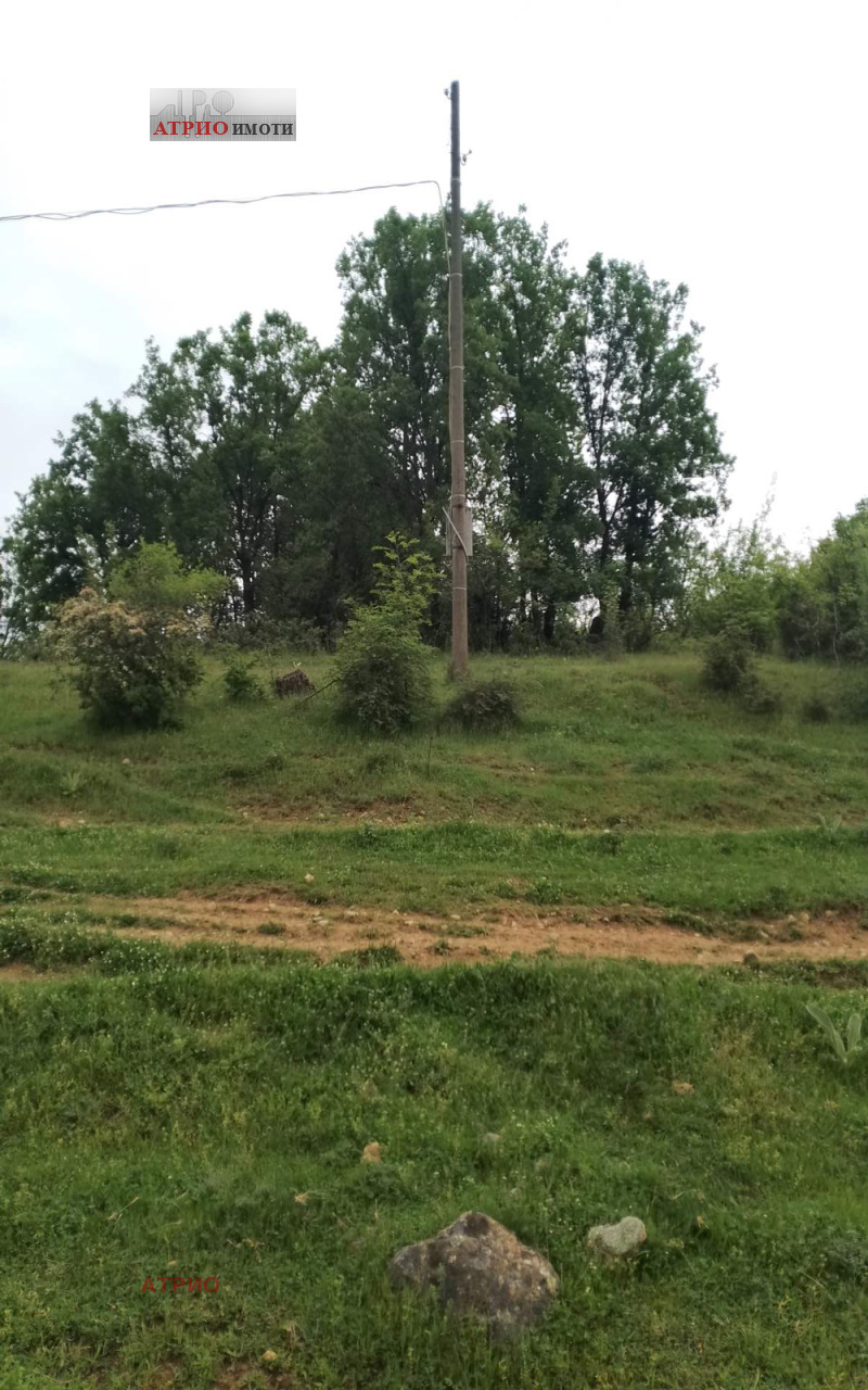 Продава ЗЕМЕДЕЛСКА ЗЕМЯ, с. Крупник, област Благоевград, снимка 2 - Земеделска земя - 53463794