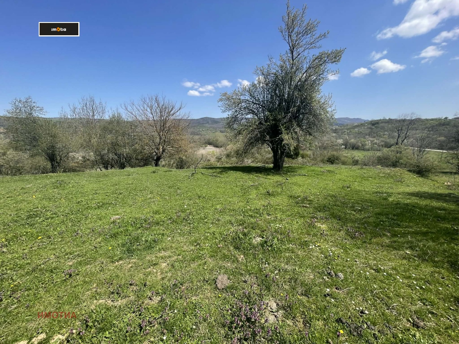 Продава ПАРЦЕЛ, с. Голяма Желязна, област Ловеч, снимка 14 - Парцели - 54273125