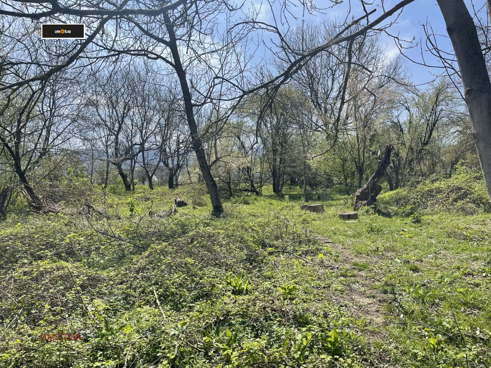 Продава ПАРЦЕЛ, с. Голяма Желязна, област Ловеч, снимка 9 - Парцели - 54273125