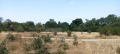 Продава ПАРЦЕЛ, град София, с. Бистрица • 20000 € • 34817865 — Holmes.bg