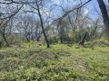 Продава ПАРЦЕЛ, област Ловеч, с. Голяма Желязна • 110000 € / 215141.30 лв. • 12577321 9