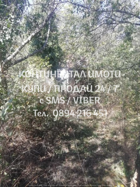 ������� ������ | Imot.bg � ����������� 8