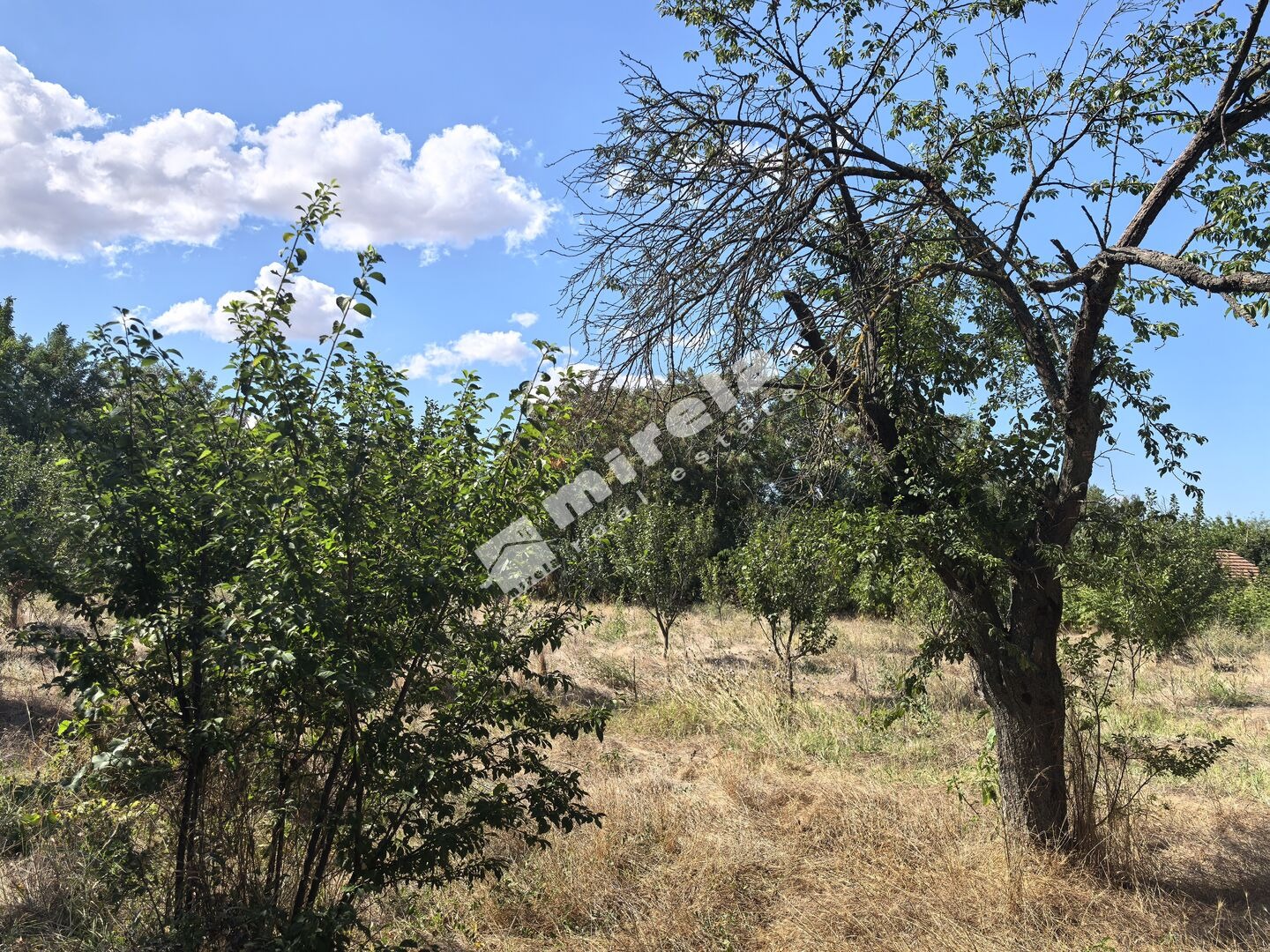 ������� ���� | Imot.bg � ����������� 11