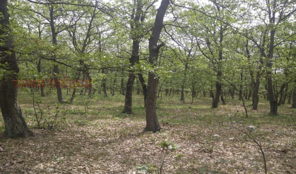 ������� ���������� ���� | Imot.bg � ����������� 2