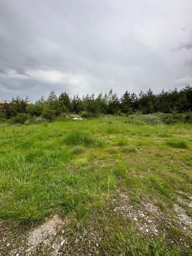 ����� ������� ������,���� ������, ����� ������ - ���� �